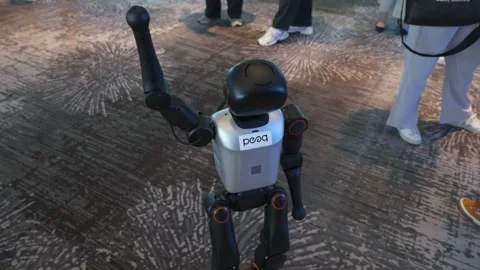 Small humanoid robot greeting visitors at Korea Blockchain Week 2025 Stock Footage 323368058