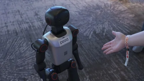 Small humanoid robot greeting visitors at Korea Blockchain Week event Stock Footage 323368187