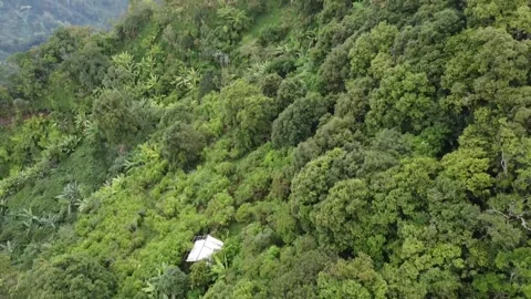 A small hut alone in the middle of the forest Video stock 278960936