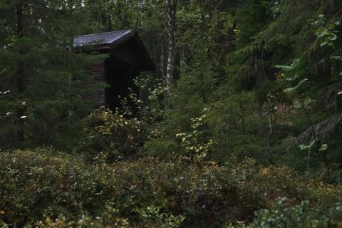 A small hut in the forest Stock Photos