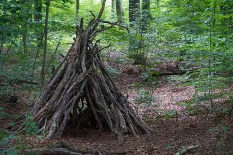 Small hut in the forest Stock Photos