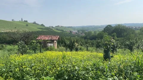 Small hut in Piemonte field Stock Footage 250999500