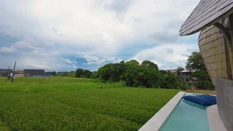 Small hut with pool and paddy fields in Canggu area, Bali Stock Footage 237747252