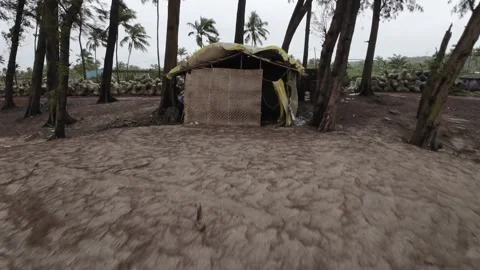 Small Hut At Tropical Beach Stock Footage 280563691