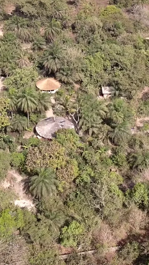 Small huts in tropical forest Video stock 230669153