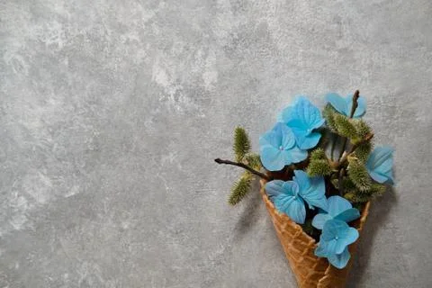 Small hydrangeas and willow twigs in a waffle cone on a gray background. Stock Photos