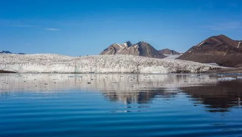 Small icebergs in front of a glacier Stock Photos