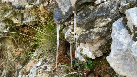 Small icicles hang on a stone among the grass, close up. They have started to Video stock 170733867