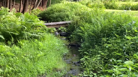 A small idyllic bubbling-brook or stream in Brattleboro Vermont farmland Stock Footage 144794343