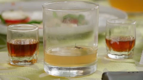 Small Insect Trapped in Glass of Apple Juice on Outdoor Table in Rome Stock Footage 331112903