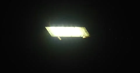 Small insects fly around the fluorescence light bulb. Video stock 278179789