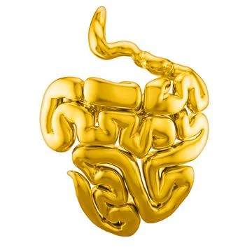 Small intestine 3d Illustration. Gold human internal organs Stock Illustration