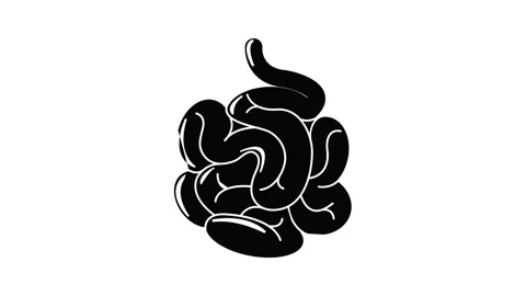 Small intestine icon animation Stock Footage 156233073