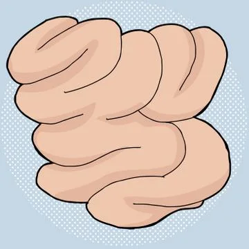 Small intestine over blue Stock Illustration