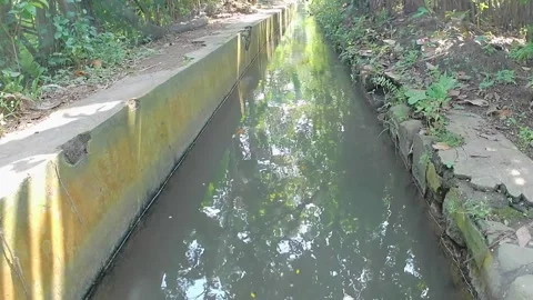 Small irrigation canal with a quiet stream of water in the village 스톡 동영상 241913328