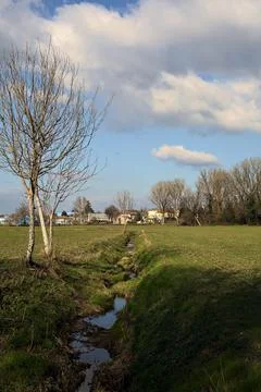 Small irrigation channel with bare trees at its edge in a field on a sunny .. Stock Photos