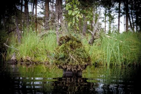 Small island in big-pool Foto stock