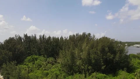 Small Island Forest Video stock 247078890