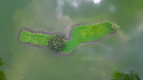 A small island in a lake with a tree on it 動画素材 325823572