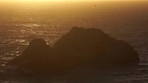 Small Island With Large Flock Of Seagulls Circling During Sunset Stock Footage 157257063