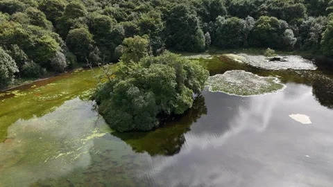 Small island on Mass Lough in County Laois Stock Footage 333414909