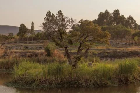 Small island with tree in the middle of lake with sunset. Lubango. Angola. Stock Photos