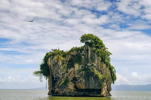 Small islands, cliffs, turned over with water, covered with green vegetation, Stock Photos