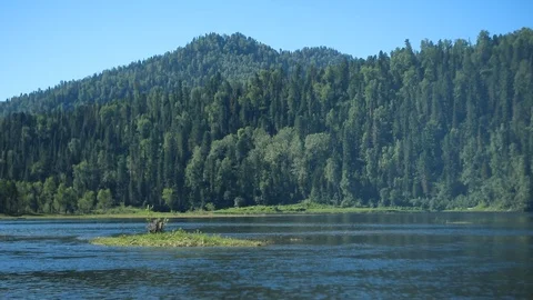 Small islands on a mountain river Stock Footage 105946411