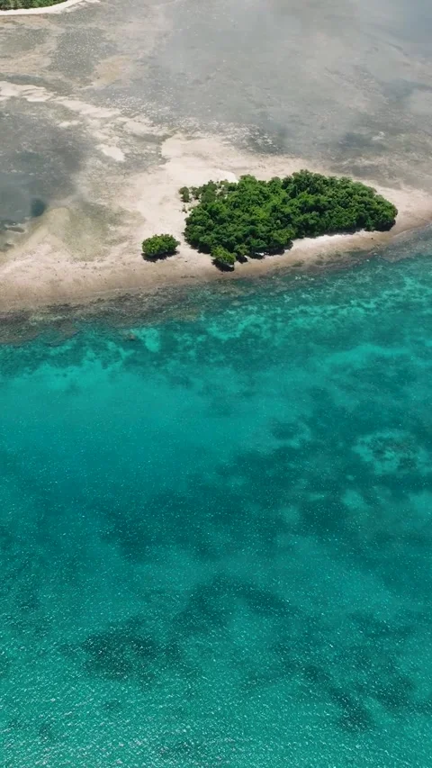 Small islet with dense trees surrounded by reef. Siargao, Philippines. Stock Footage 321103946