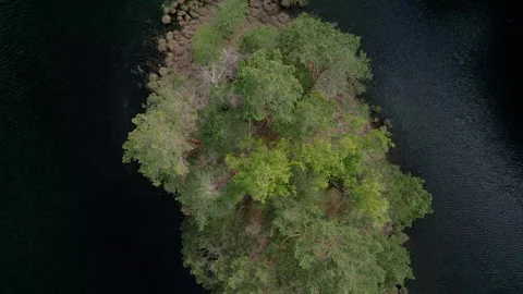 A small islet with the trees on it in Estonia Stock Footage 244153277