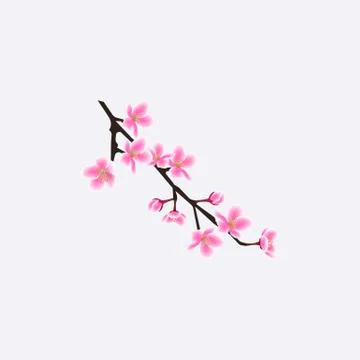 Small isolated sakura tree twig with realistic flowers Stock Illustration