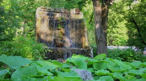 Small jets goes by waterfall among plats at sunny summer day Vídeos de archivo 68323211
