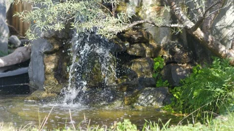 Small jungle waterfall cascading over rocks surrounded by lush greenery in .. Stock Footage 293146466