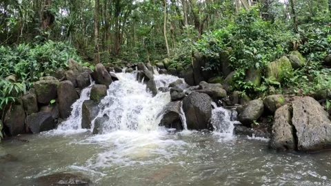 Small jungle waterfall cascading over rocks in Hawaii Stock-Footage 347826075