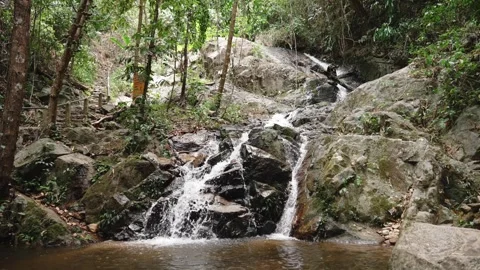 Small jungle waterfall flowing over dark boulders. Pure stream of water in Stock Footage 309273148
