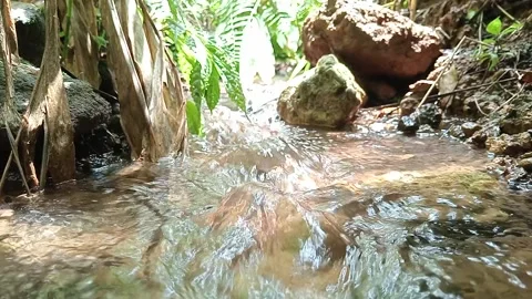 Small Jungle Waterfall Flowing Through Natural Green Forest Stock Footage 331728651
