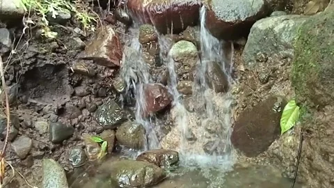 Small Jungle Waterfall Over Rocks – Natural Forest Cascade Stock Footage 329780763