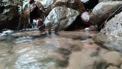 Small Jungle Waterfall Stream Flowing in Forest Stock Footage 329775531