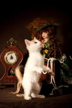 Small kitten Stock Photos