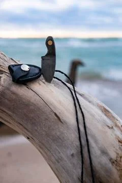 Small Knife in Tree Log 스톡 사진