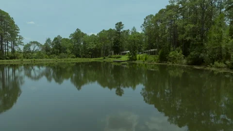 Small Lake in Alabama Video stock 260861444