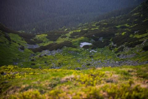 Small Lake In The Alpine Terrain Stock Photos