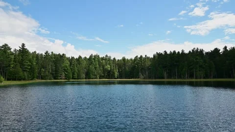 Small Lake and Trees - 4K - Landscape Video stock 318606997