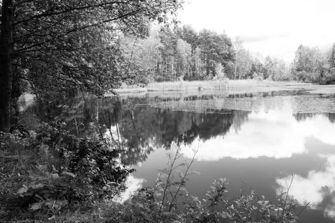Small lake and trees in black and white Stock Photos