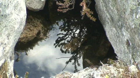 Small lake between moraines in Lapland Stock Footage 129203