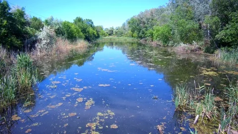 A small lake with clear water Stock Footage 90393241