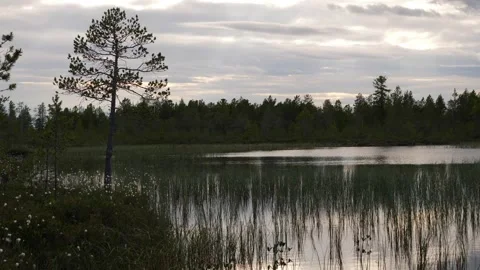 Small lake in the depth of Siberia Stock Footage 281529288
