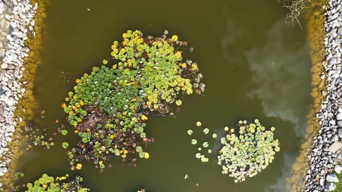 Small lake drone view Stock Footage 129439448