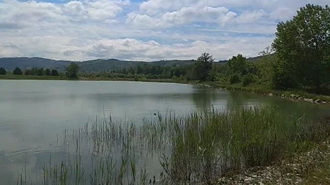 Small lake with ducks feeding Video stock 324959070