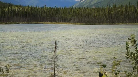 Small lake Stock Footage 10751758